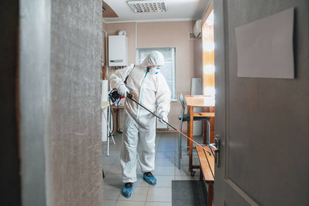 Best Air Quality Testing for Mold Spores  in Shavano Park, TX