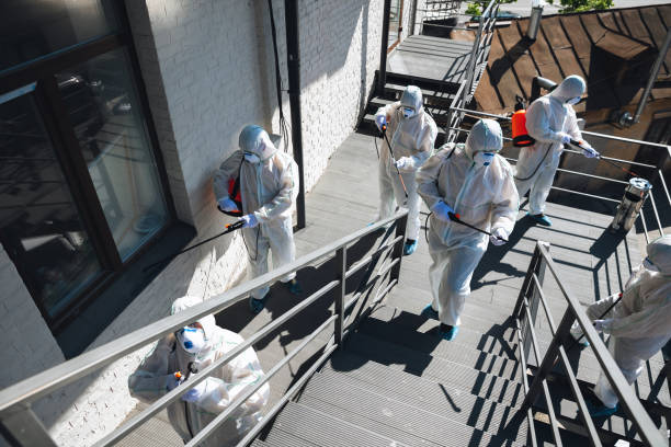 Best Black Mold Removal  in Shavano Park, TX