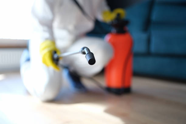 Best Indoor Air Quality Assessment  in Shavano Park, TX